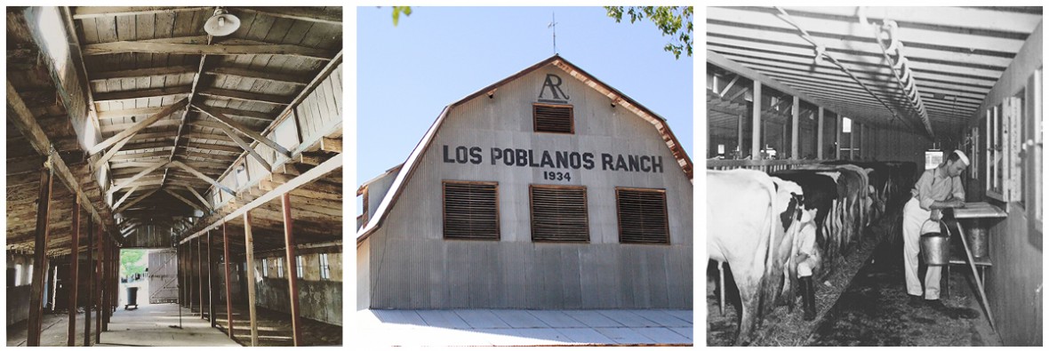 original milking barn, barn facade today, barn interior before remodel