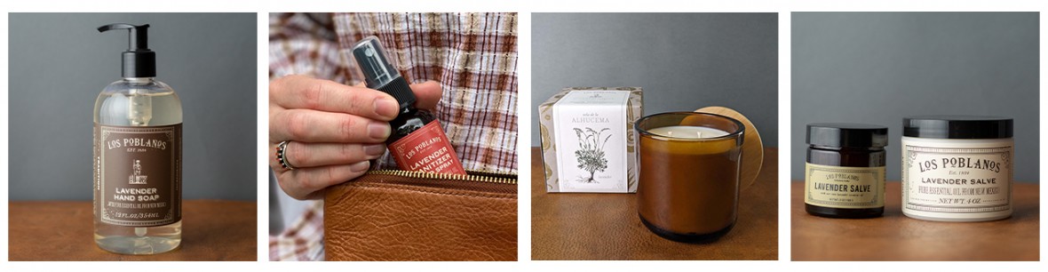 photos of lavender line