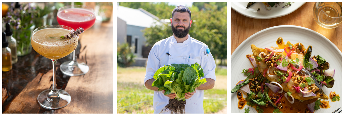 Campo botanical cocktails, chef in the fields and farm-to-table food